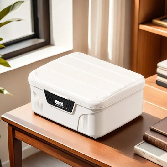 Safe Security Storage Box