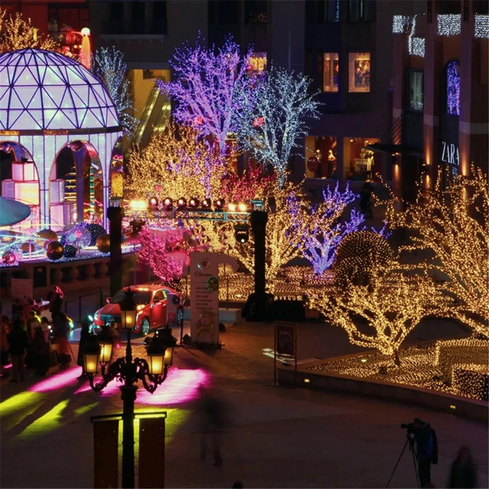 Holiday Led  Lights Outdoor 100M 50M 30M 20M 10M 5MLed String Lights Decoration