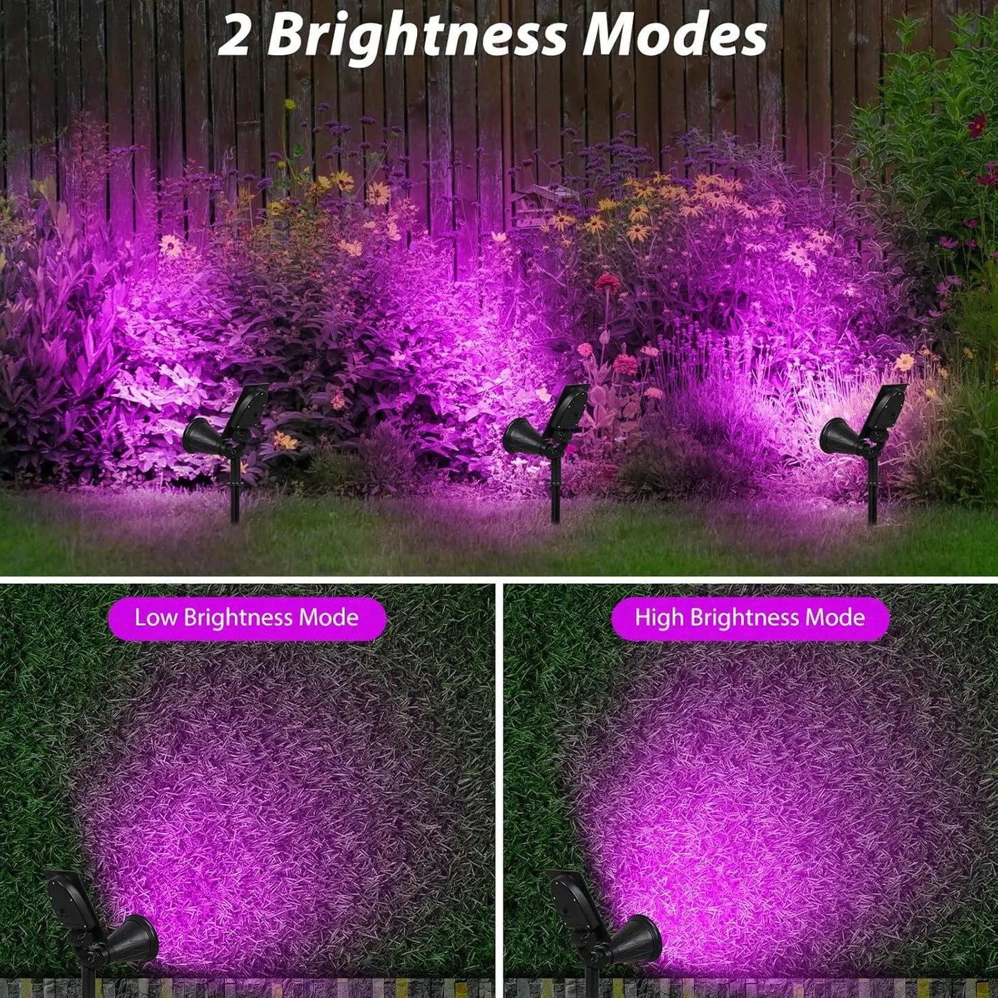 4Led Solar Light Outdoor Landscape Garden Halloween Black Lights