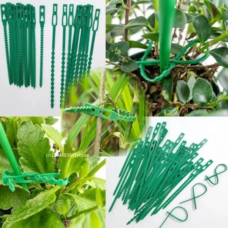 50-1000pcs Adjustable Plastic Plant Cable Ties Reusable Cable Ties for Garden Tree Climbing Support Plant Vine Tomato Stem Clip