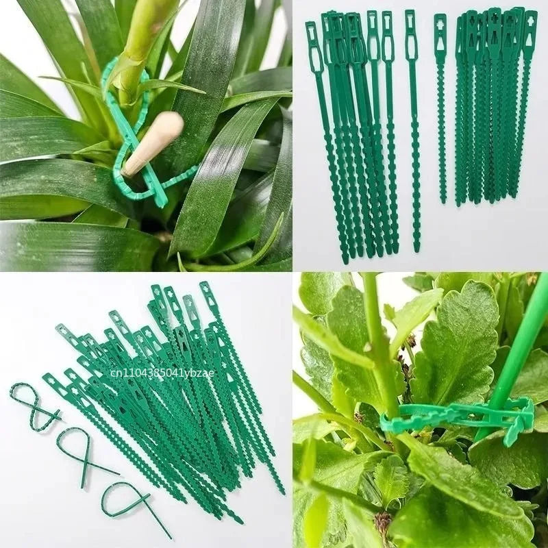 50-1000pcs Adjustable Plastic Plant Cable Ties Reusable Cable Ties for Garden Tree Climbing Support Plant Vine Tomato Stem Clip