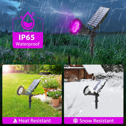 4Led Solar Light Outdoor Landscape Garden Halloween Black Lights